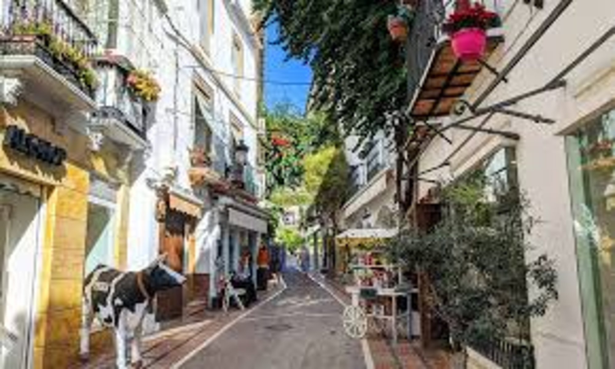 Image pour La Vieille ville de Marbella